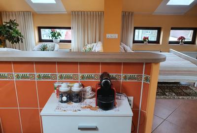 Apartament semidecomandat în Dorobanți - 17