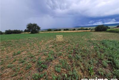 Casă cu 3 camere cu Teren 7000 Mp în Zvoriștea - 15