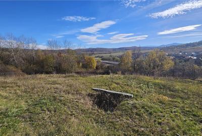 Rezidenta noua, oportunitate personalizare, peste 1.500mp, P - 21