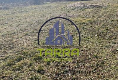 Teren de 3000 mp, în Cetate - 2