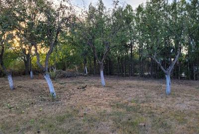 REL4000842 De vanzare teren intravilan 1000 mp. Corbeanca - 8