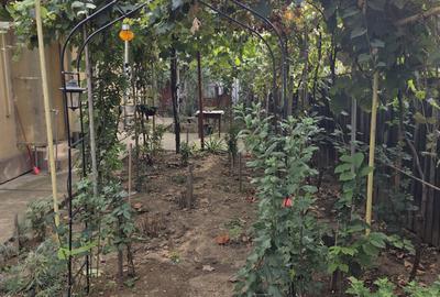 Casă cu 2 camere în Central - 2