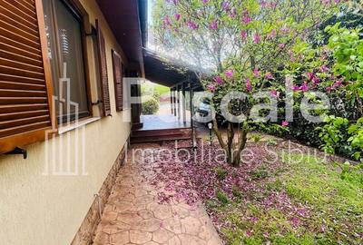 Casă cu 4 camere cu Teren 1468 Mp în Central - 6