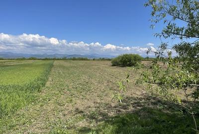 Teren la 13 KM de Baia Mare - 1