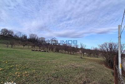 Spațiu comercial, în Drajna - 8