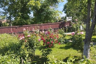 Teren cu iesire la lac si casa in stil brancovenesc - 6