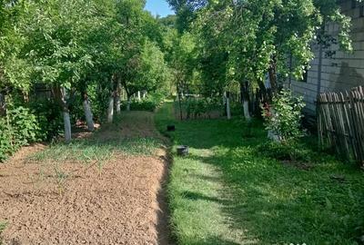 Teren de 1000 mp, în Băbana - 2