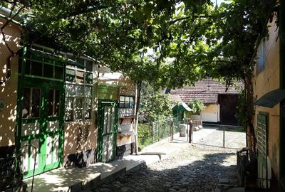 Casă cu 3 camere cu Teren 1000 Mp în Daia (Apold) - 3