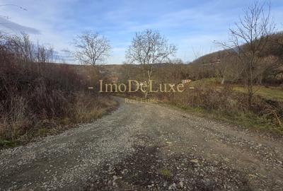 Teren extravilan langa lac, 8500mp, priveliste, acces, utilitati, zona Baciu - 8