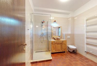 Casă individuală cu 7 camere cu Teren 1672 Mp în Sohodol - 17