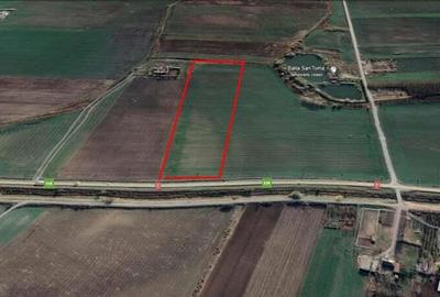 Teren 5 hectare la E68 loca?ie excelenta Arad - 3