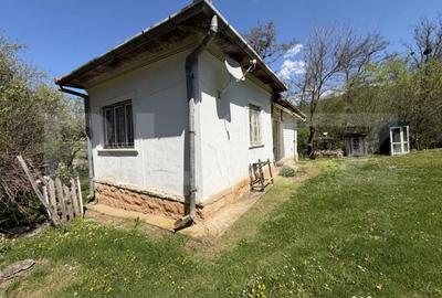 Casă cu 4 camere cu Teren 5000 Mp în Petrindu - 9