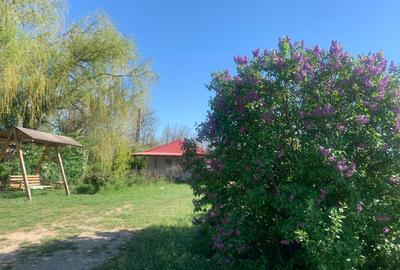 FERMĂ - LA DN3 - 10.680 MP/84 M DESCHIDERE - UTILITĂȚI - 24