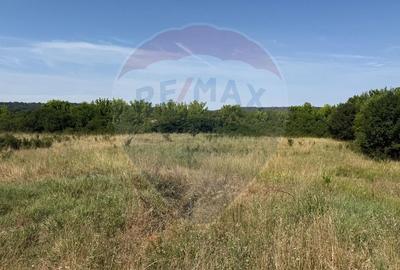 Teren Intravilan Craiova 2500 mp Strada Popoveni - 3