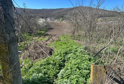 Casă cu 3 camere cu Teren 3843 Mp în Ciucurova - 8