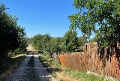 Casă cu 3 camere în Gliganu de Sus - 8