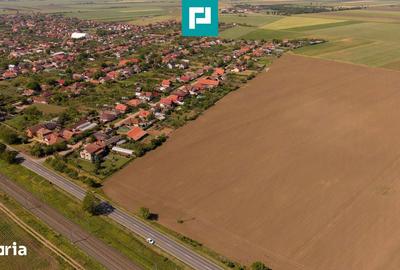 Teren de 28500 mp, în Șofronea