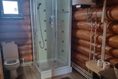 Vand cabana lemn rotund la munte Panaci, Suceava - 1