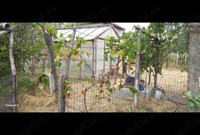 Casă cu 3 camere cu Teren 1877 Mp în Movila - 1