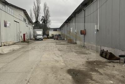 Hala de inchiriat - 10