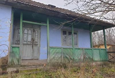 Casă cu 2 camere în Podeni - 8