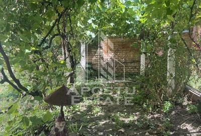 Casă unifamilială cu teren de 1504 mp - 14