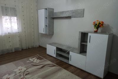 Apartament cu 2 camere decomandat în Frumoasa - 9