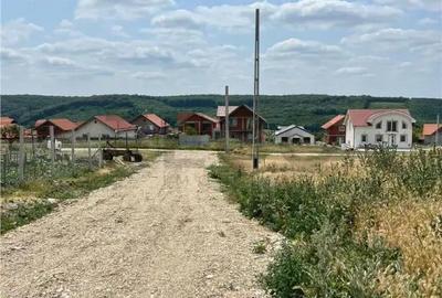 Teren de 502 mp, în Betfia - 3