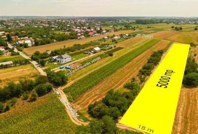 Teren intravilan construibil Bolintin Deal 5000 mp dubla deschidere