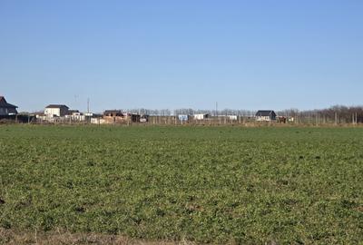 Teren de vanzare in Techirghiol - 2