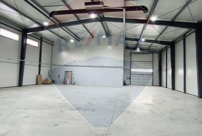 Spațiu comercial, de 572 mp, în Dragomirești-Vale - 4