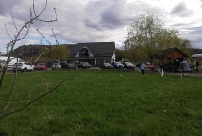 Casă cu 9 camere cu Teren 8000 Mp în Bârsana - 6