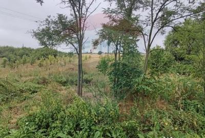 Teren de 2341 mp, în Uileacu de Munte - 4