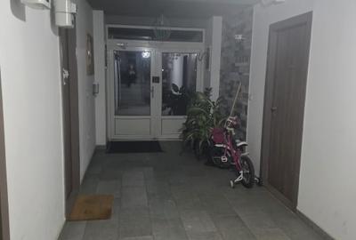 Apartament cu 2 camere decomandat, mobilat în Giroc - 8