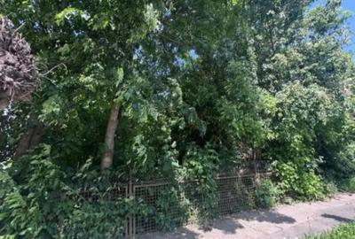 Teren de 4200 mp, în Rădăuți - 1