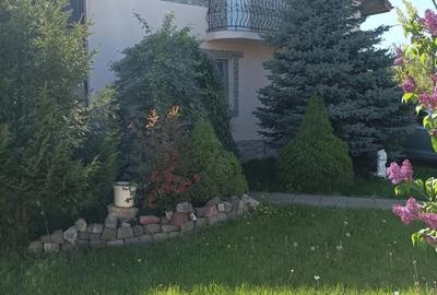 Casă cu Teren 1500 Mp în Lilieci - 9