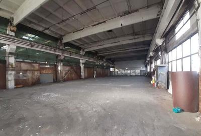 Spațiu comercial, de 430 mp, în Fizicienilor