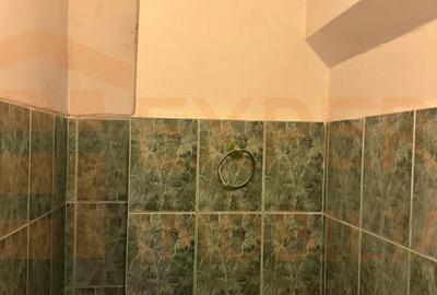 Apartament cu 4 camere decomandat în Inel II - 8