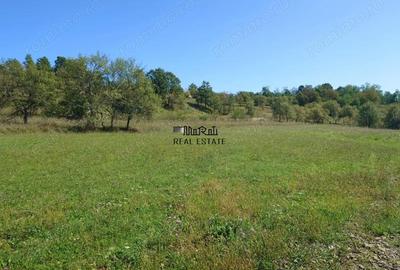 Teren de 8757 mp, în Luncoiu de Sus - 8