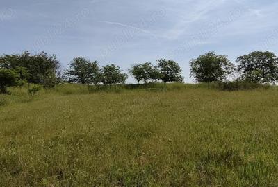 Teren de 925 mp, în Berceni - 8