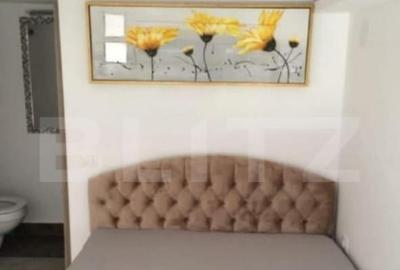 Apartament tip studio, 16,16 mp, strada piata Trandafirilor - 5