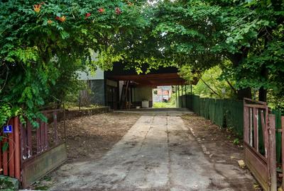 Vand proprietate cu 2 locuin?e + 16 ari teren, zona centrala ?omcuta Mare - 1