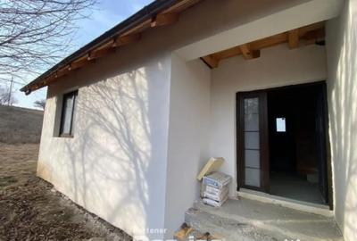 Casă cu 7 camere cu Teren 500 Mp în Ciritei - 11