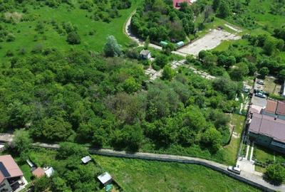 Teren intravilan 4.300 mp - Aninoasa, Dâmbovița | COMISION 0% - 5
