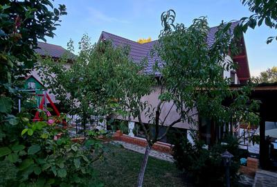 Moreni , Dambovita , vanzare proprietate -casa si teren - 22