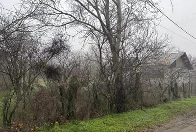 Teren de 2499 mp, în Sârbeni - 3