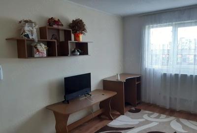 Apartament cu 2 camere semidecomandat în George Enescu - 8