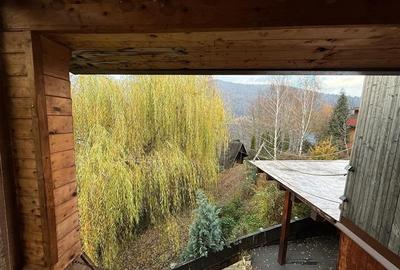 Casa de vacanta cu panorama  spre lac - 14