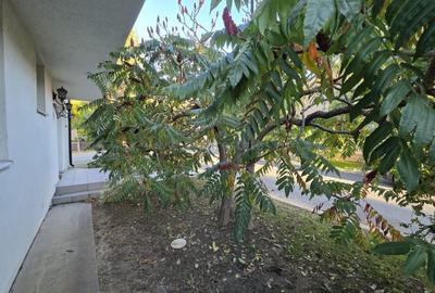 VILA DE VINZARE IN PALADIN RESIDENCE CORBEANCA - 53