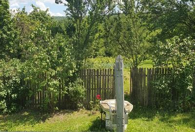 Casă cu 5 camere cu Teren 3000 Mp în Butoiești